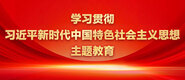 大鸡巴爆操网站学习贯彻习近平新时代中国特色社会主义思想主题教育_fororder_ad-371X160(2)